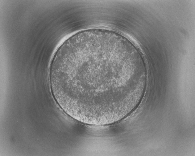 X0000116021200200912181143