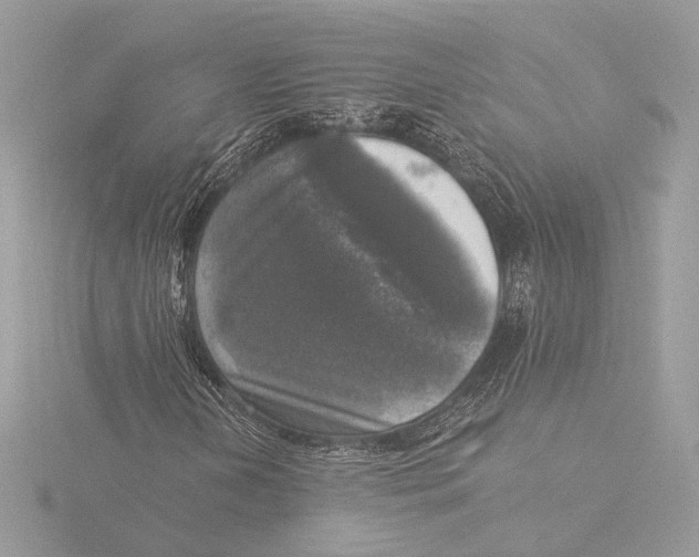 X0000116021202200912181142