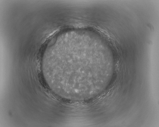 X0000116021205200912181142