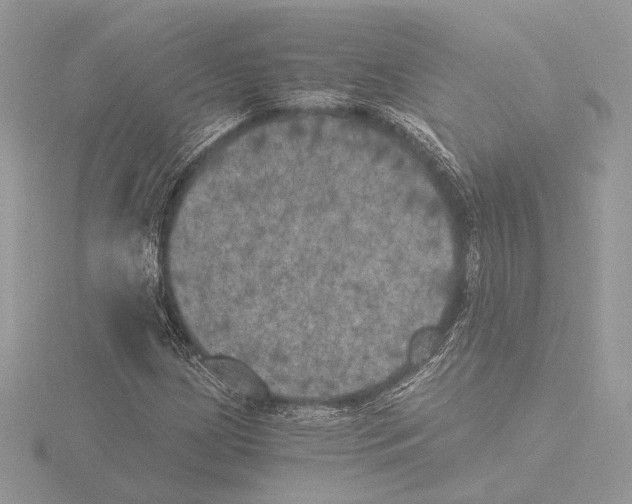 X0000116021209200912181142