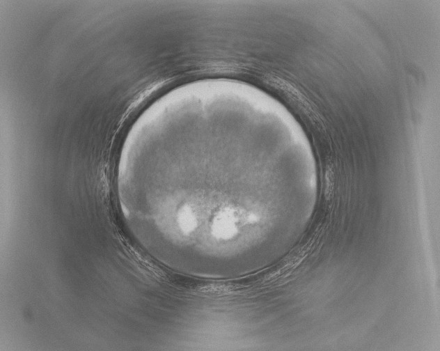 X0000116021212200912181142