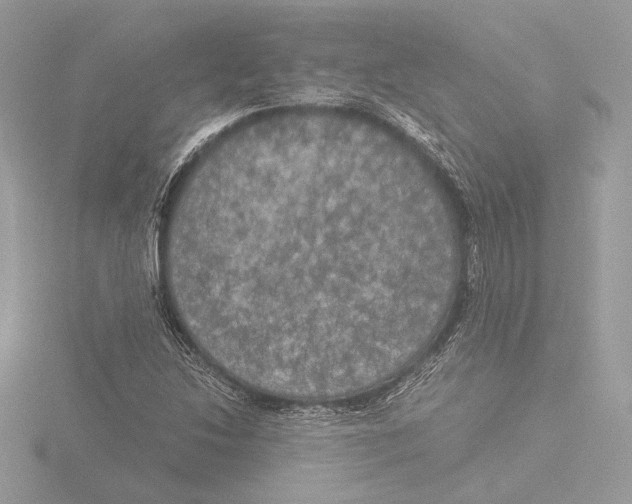 X0000116021214200912181142