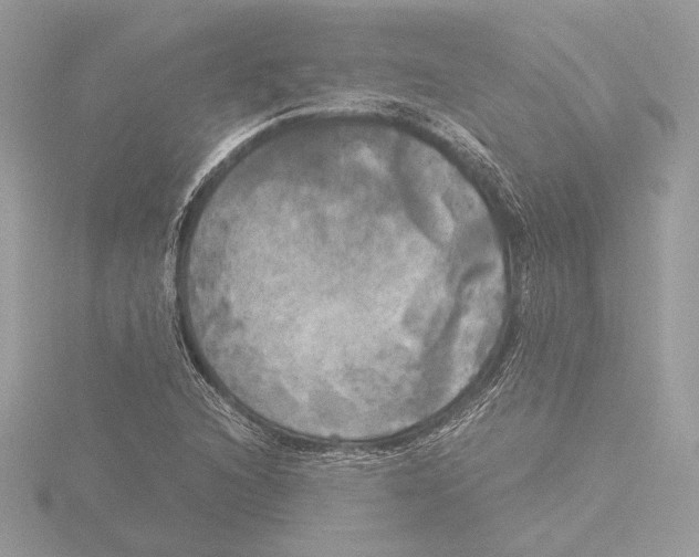 X0000116021216200912181142