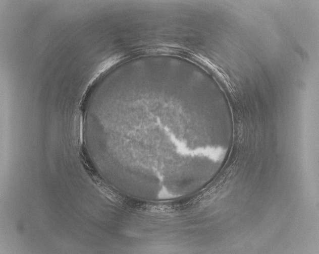 X0000116021219200912181142