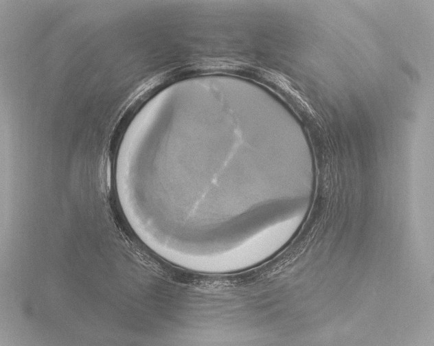 X0000116021221200912181142