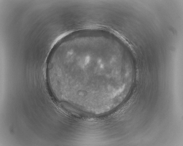 X0000116021222200912181142