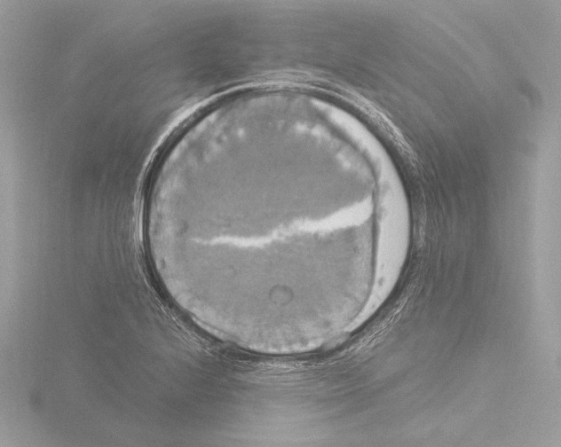 X0000116021224200912181142