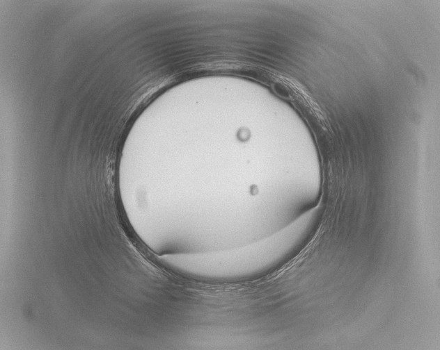 X0000116021225200912181142