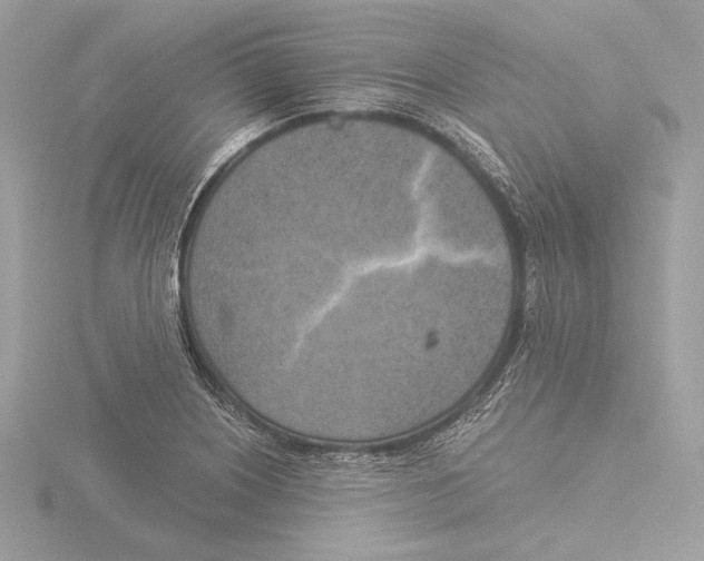 X0000116021226200912181142