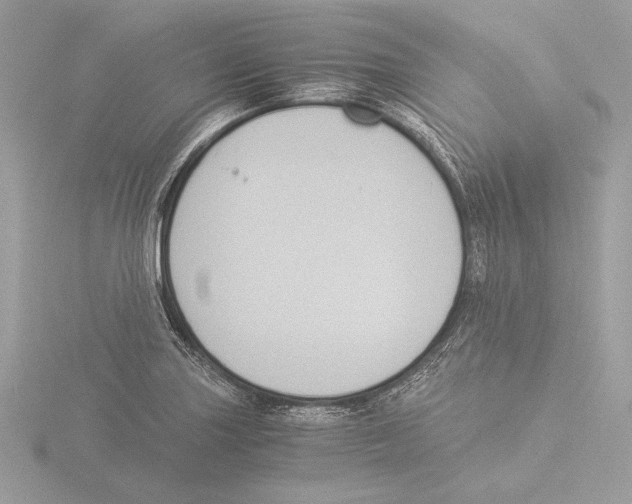 X0000116021227200912181142