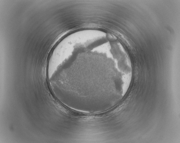 X0000116021228200912181142