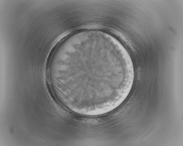 X0000116021229200912181142