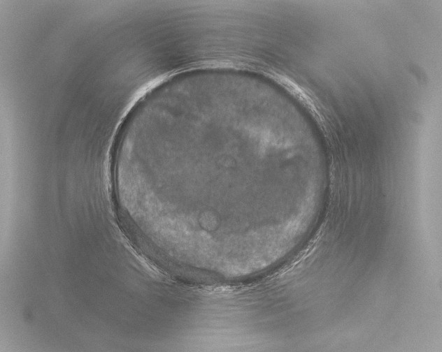 X0000116021230200912181142