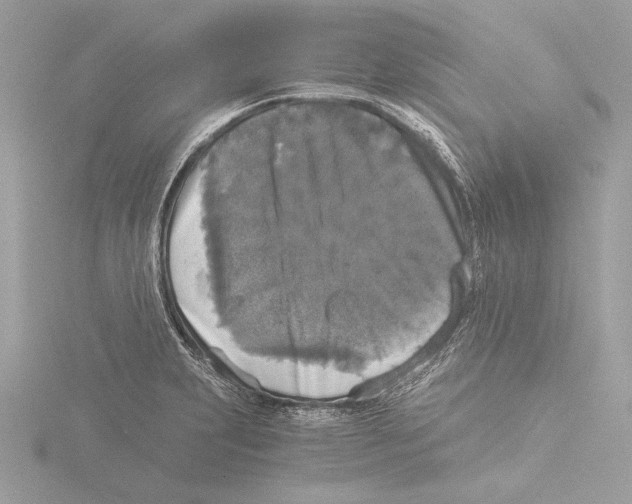 X0000116021231200912181142