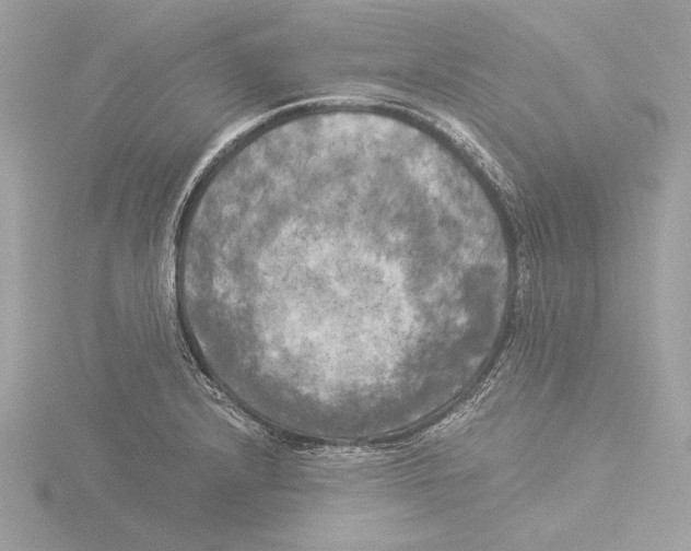 X0000116021232200912181142