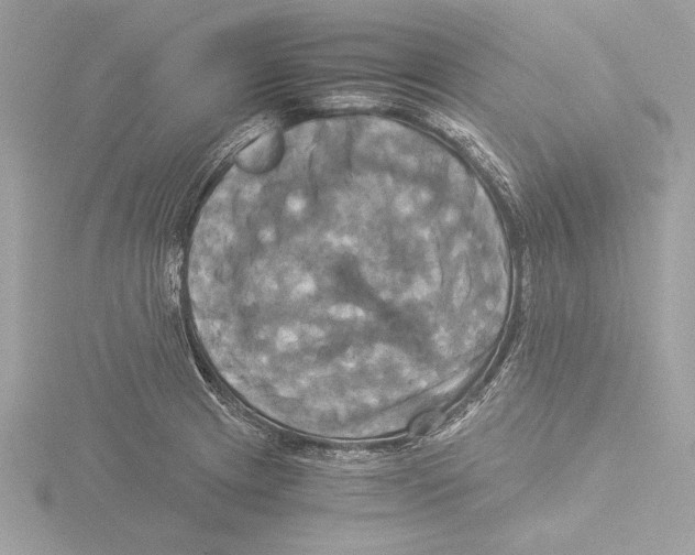 X0000116021233200912181142