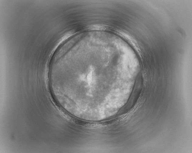 X0000116021235200912181143