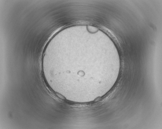 X0000116021236200912181143