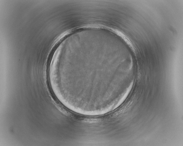 X0000116021237200912181143