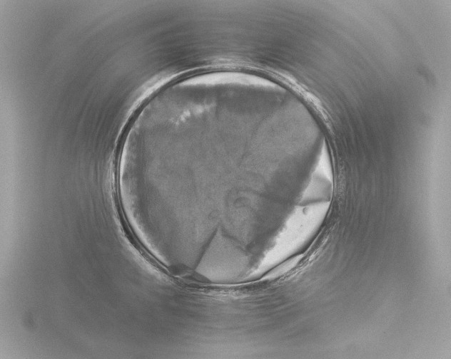 X0000116021239200912181143