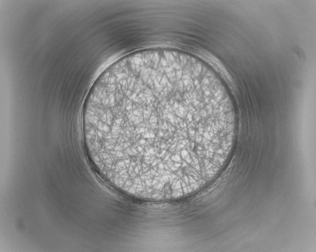 X0000116021242200912181143
