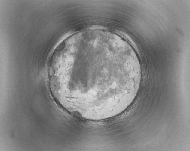 X0000116021243200912181143