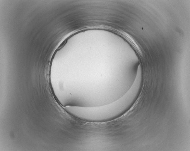 X0000116021244200912181143