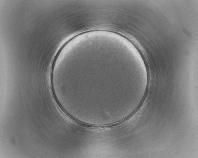 X0000116021246200912181143