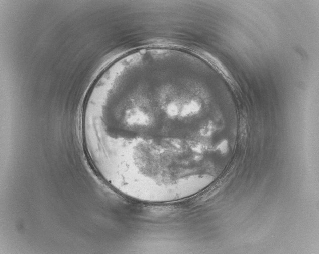 X0000116021247200912181143