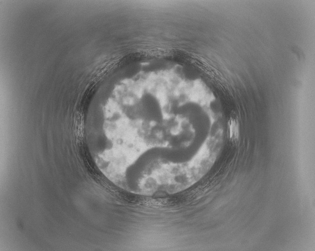 X0000116021251200912181142