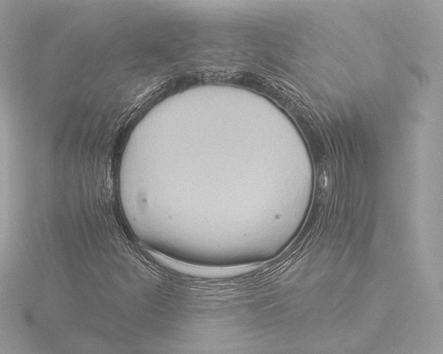 X0000116021252200912181142