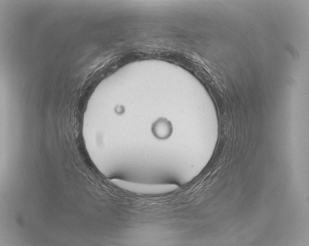 X0000116021253200912181142