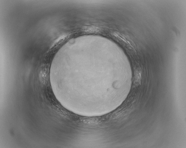 X0000116021254200912181142