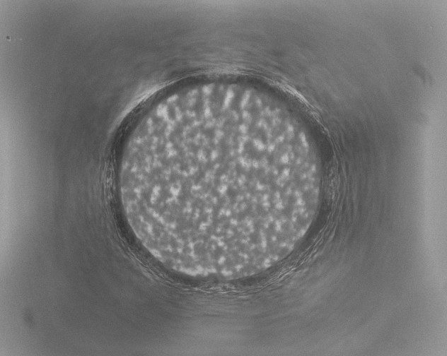 X0000116021255200912181142