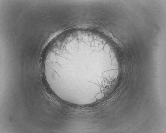 X0000116021256200912181142