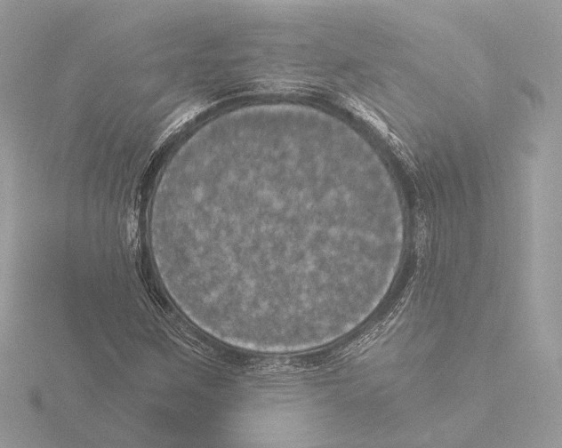 X0000116021259200912181142