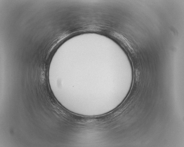 X0000116021260200912181142