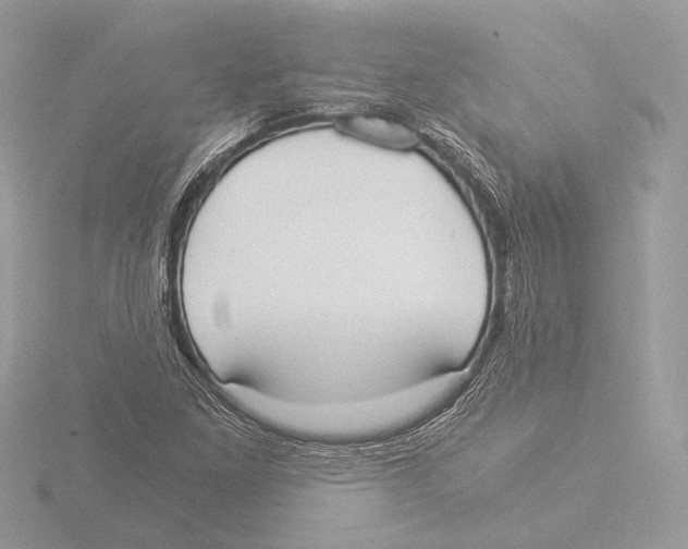 X0000116021261200912181142