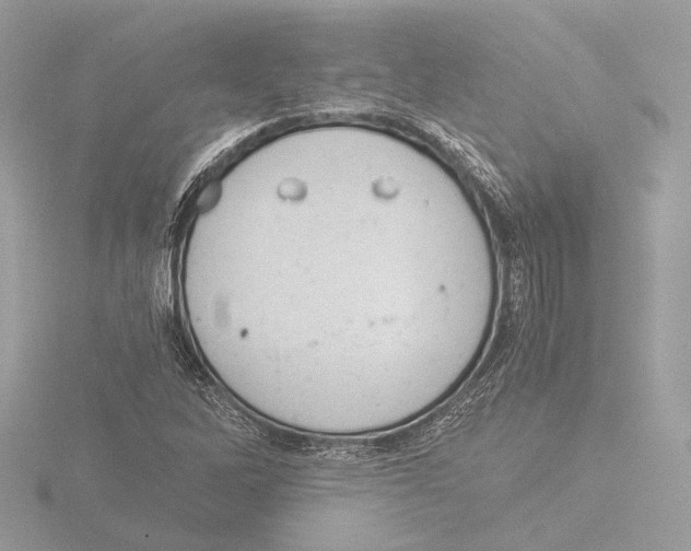 X0000116021262200912181142