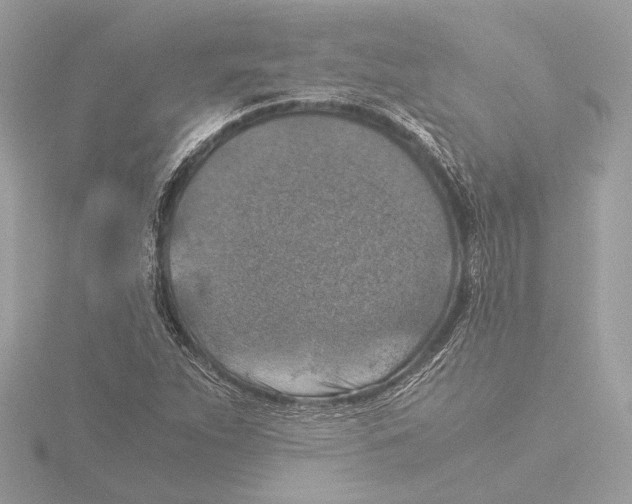 X0000116021263200912181142