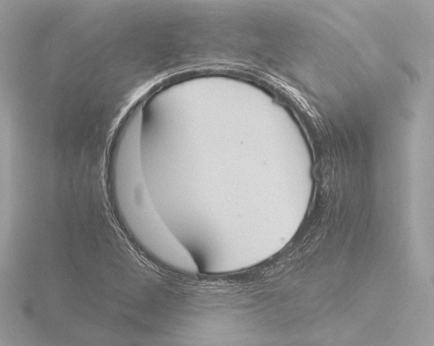 X0000116021264200912181142