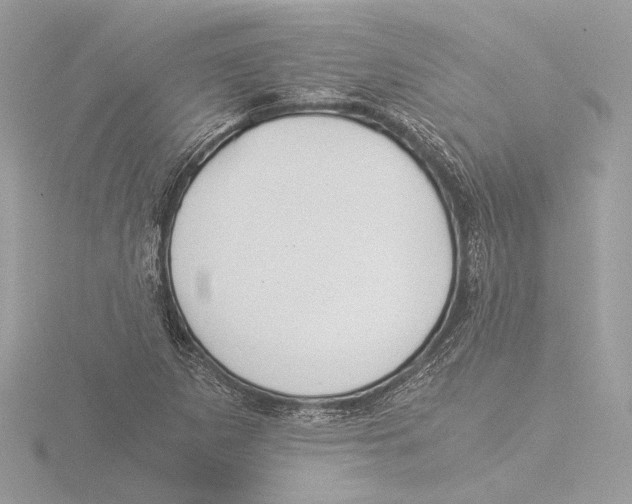 X0000116021265200912181142