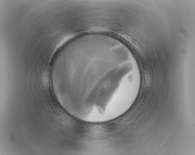 X0000116021266200912181142