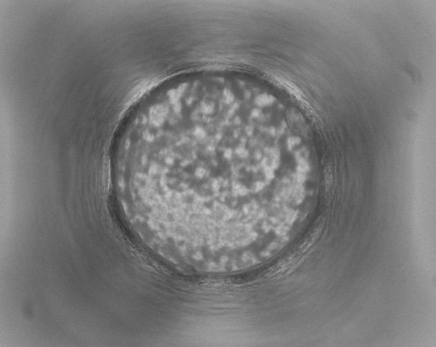 X0000116021267200912181142