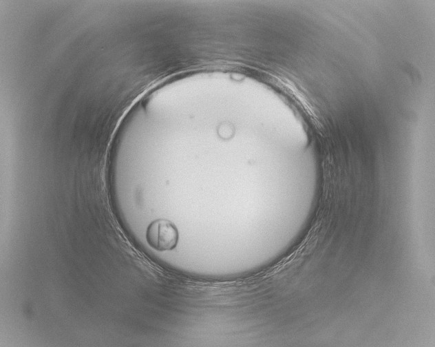 X0000116021268200912181142