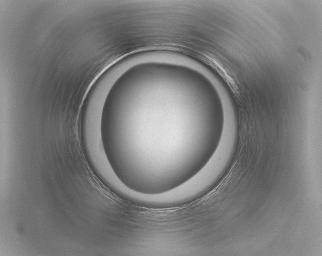 X0000116021276200912181142