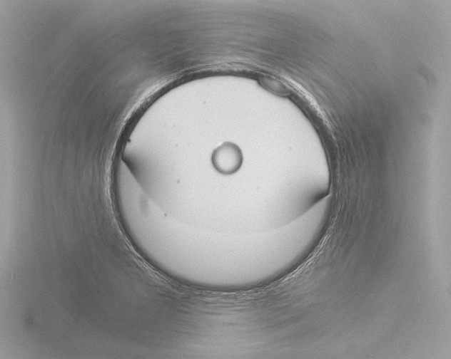 X0000116021277200912181142