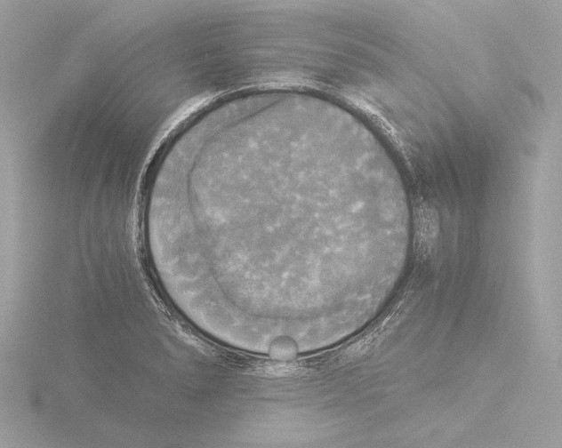 X0000116021278200912181142