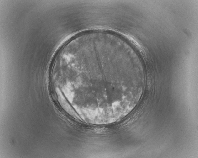 X0000116021279200912181142