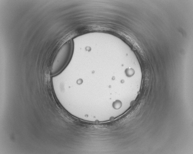 X0000116021281200912181142